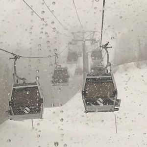 Meet your Posher, Halle